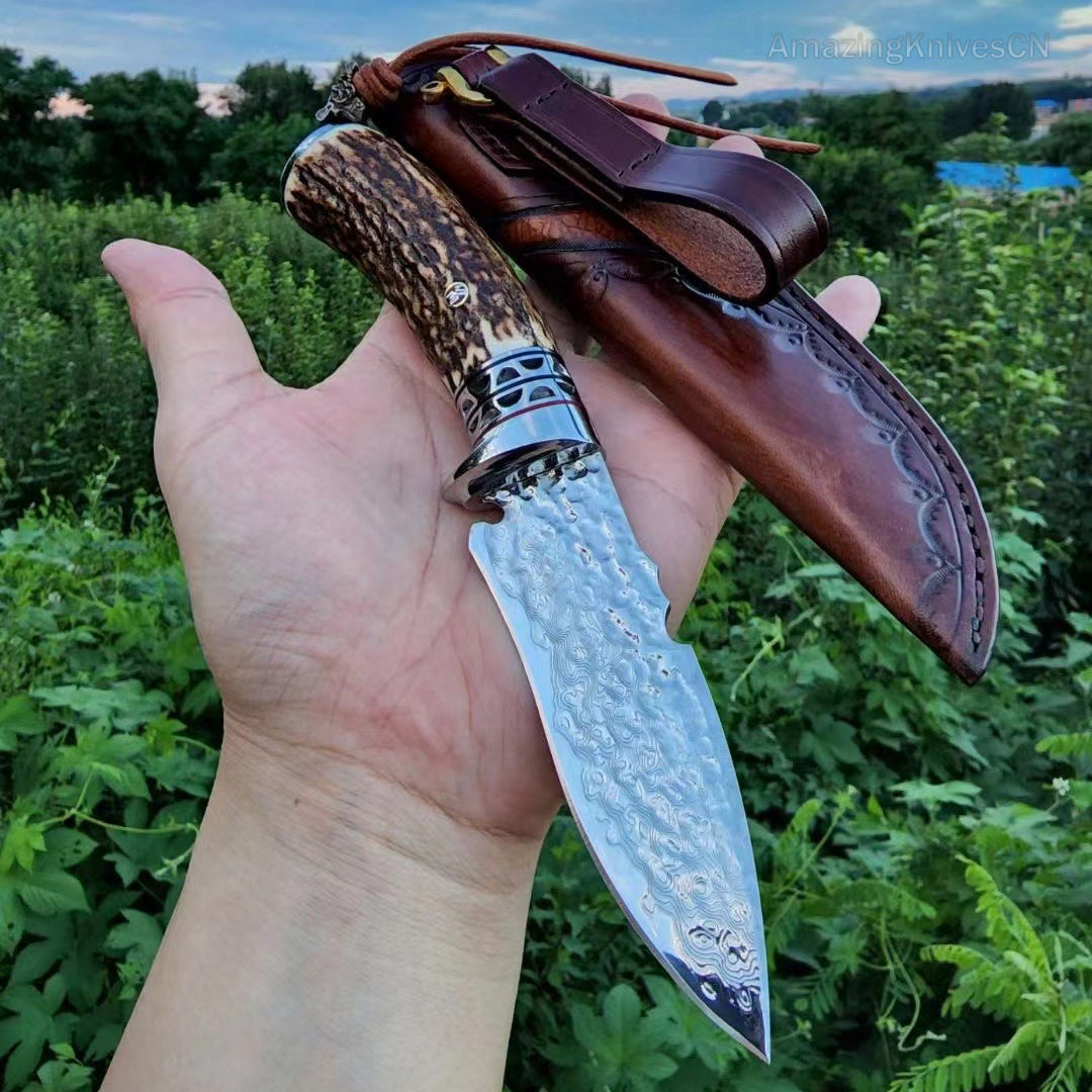 VG10 Damascus Survival knife Bowie Knife Hunting Knife Fixed Blade Stag Antler Sheath - AK-HT0915