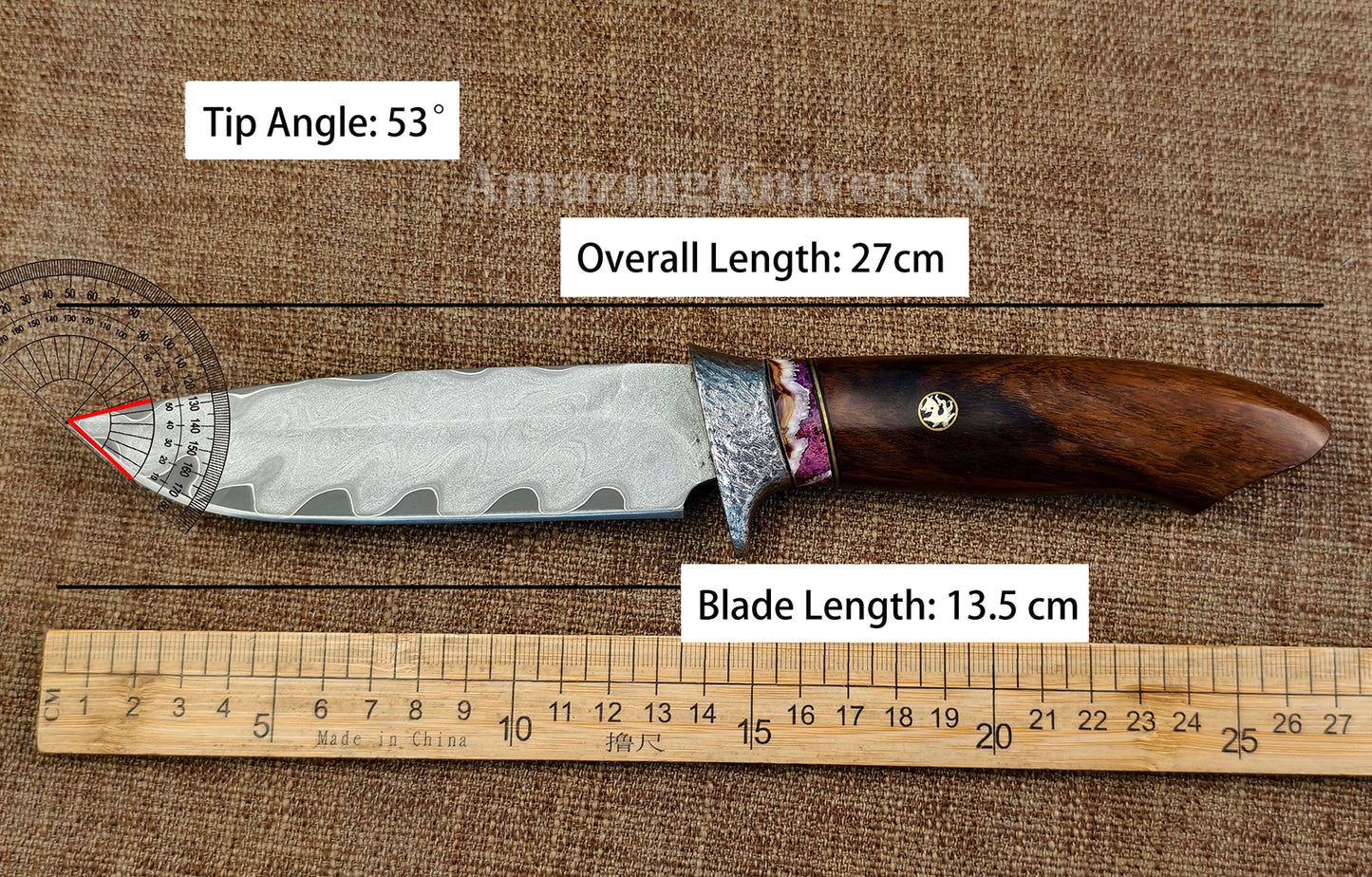 Rare Handforged Damascus Steel Ironwood Straight Hunting Outdoor Knife with Sheath- AK-HT0652-U