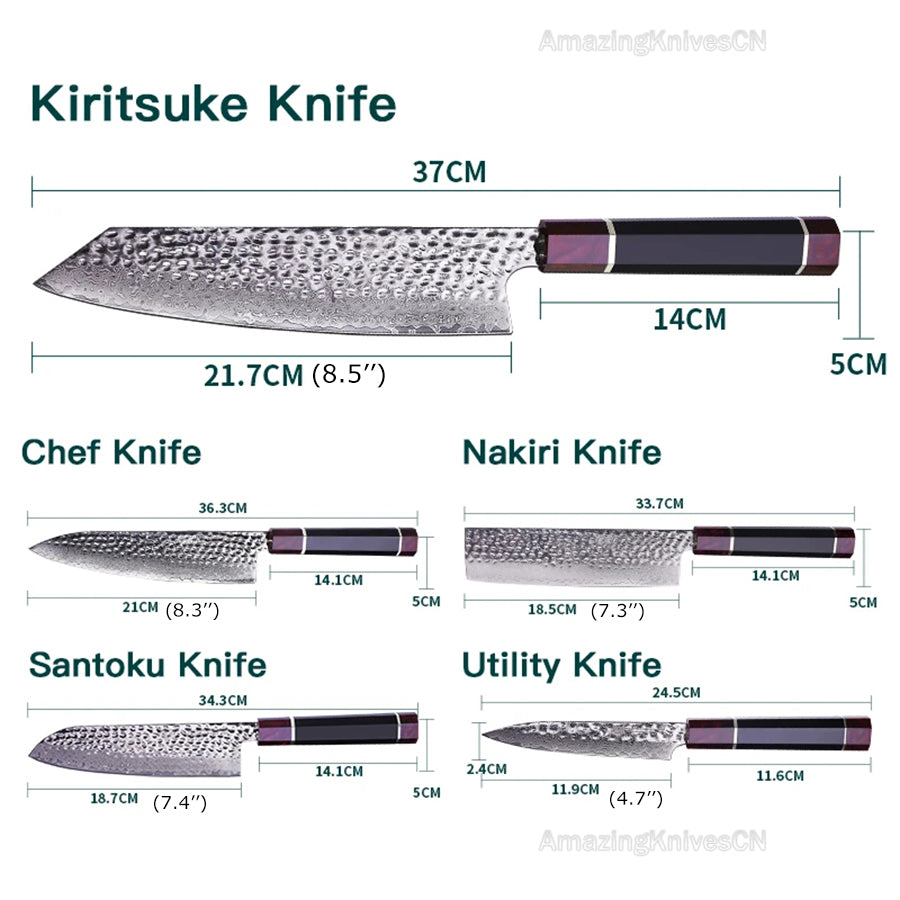 5 PCS Set 67-Layer  Damascus Steel Kithcen Knife Set Amazing Quality -AK-DS0819