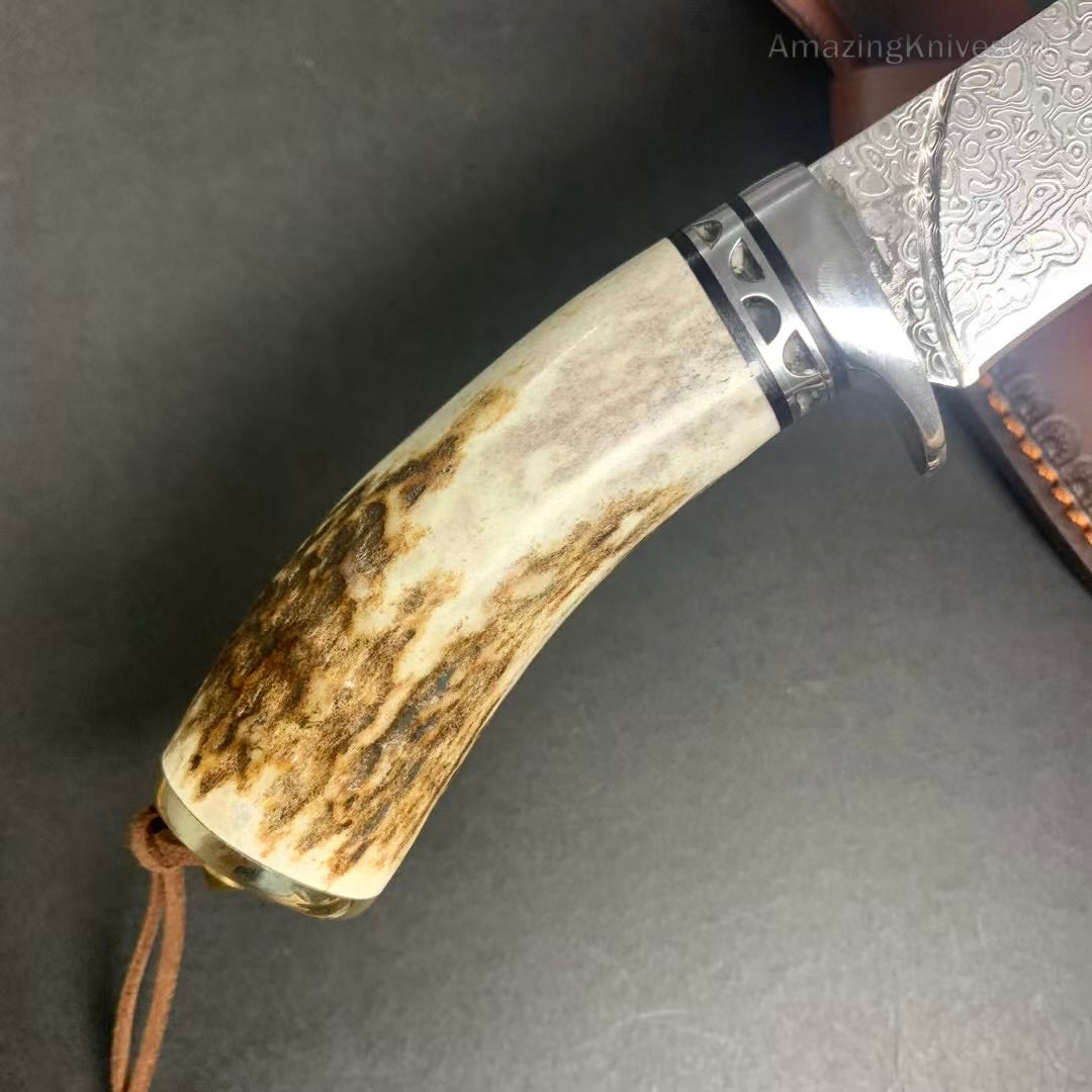 Damascus Survival Outdoor Camping Hunting Knife Fixed Blade Stag Antler w/ Sheath - AK-HT0971