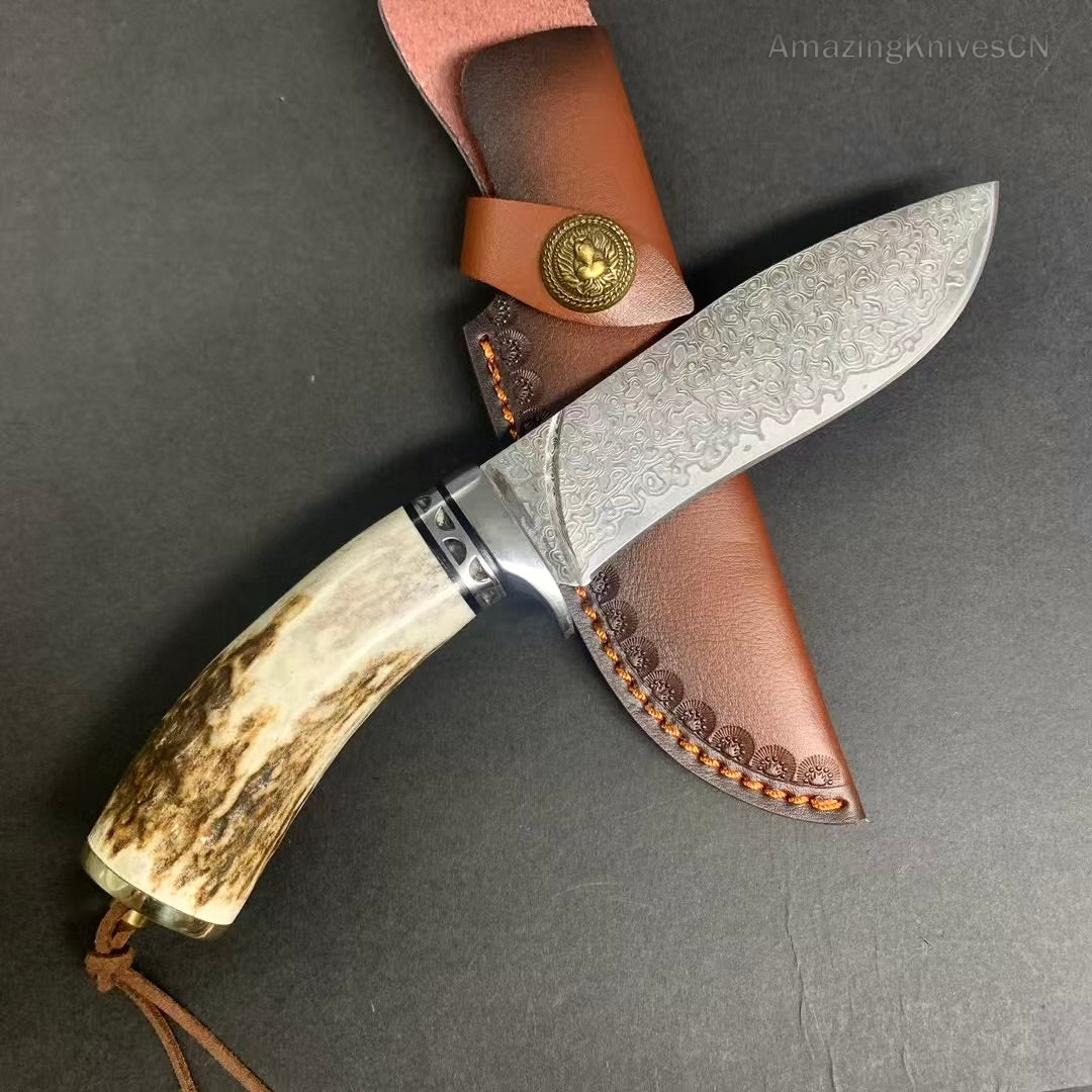 Damascus Survival Outdoor Camping Hunting Knife Fixed Blade Stag Antler w/ Sheath - AK-HT0971