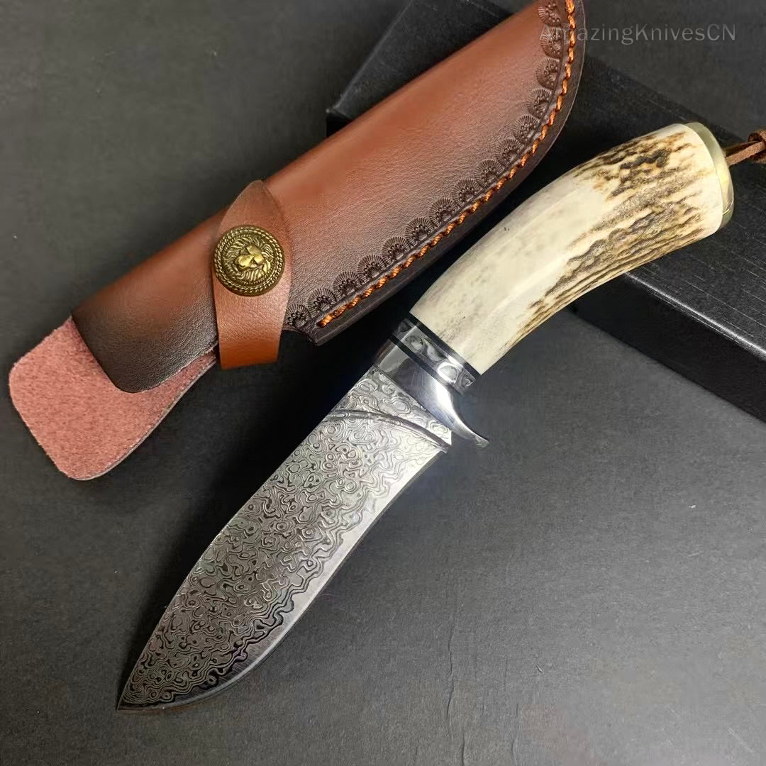 Damascus Survival Outdoor Camping Hunting Knife Fixed Blade Stag Antler w/ Sheath - AK-HT0971