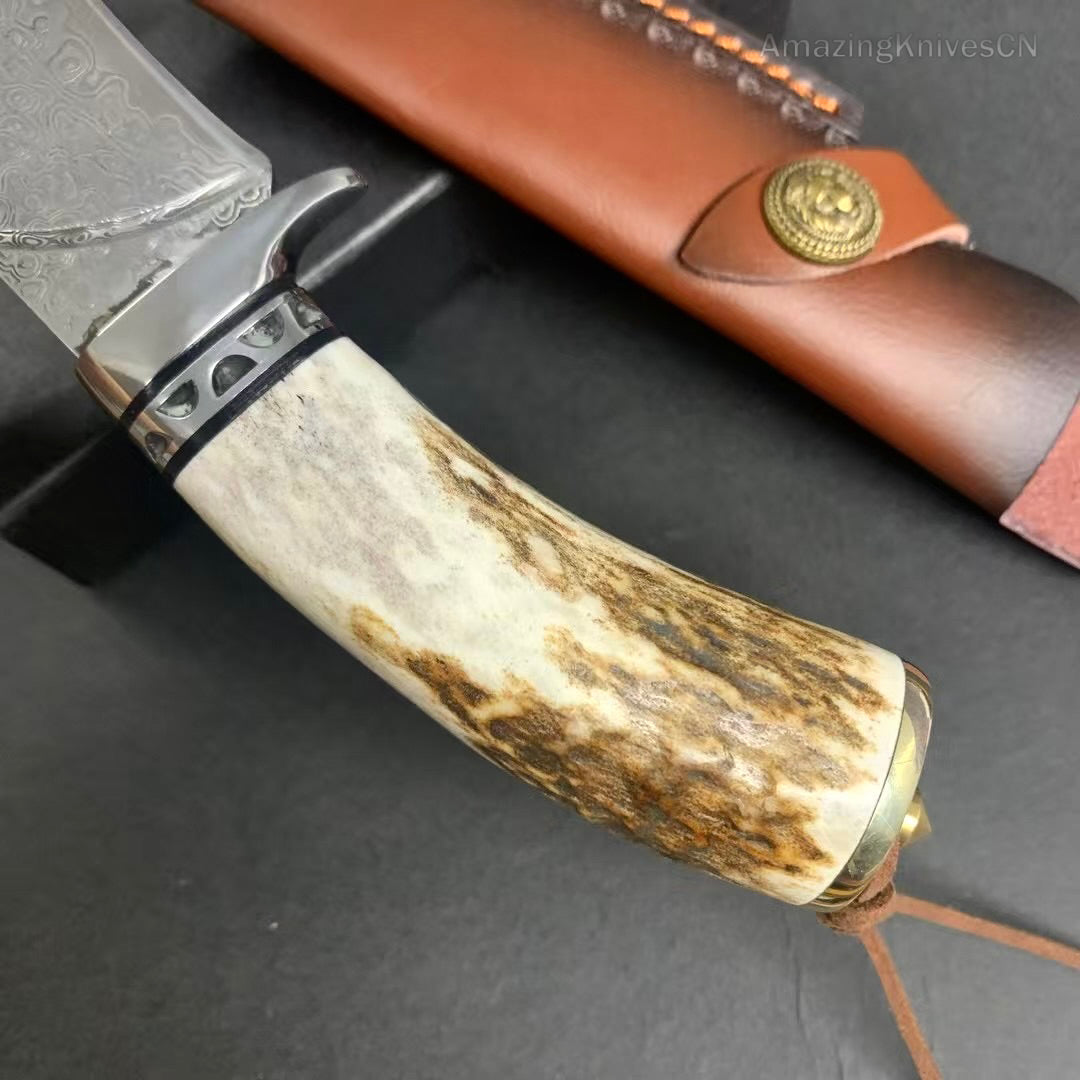 Damascus Survival Outdoor Camping Hunting Knife Fixed Blade Stag Antler w/ Sheath - AK-HT0971