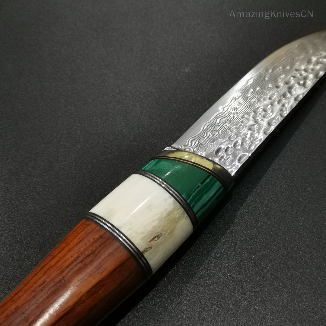 Vg10 Damascus Hunting Knife Fixed Blade Wood Handle with Sheath Camping Survival- AK-HT0367