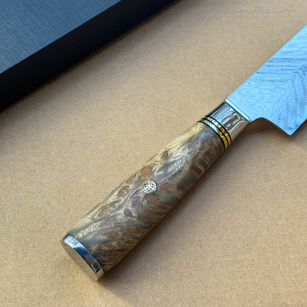8'' Chef Knife Japanese VG10 Damascus Steel Kitchen Knives Stainless Gyuto with Wood Handle - AK-DC0348