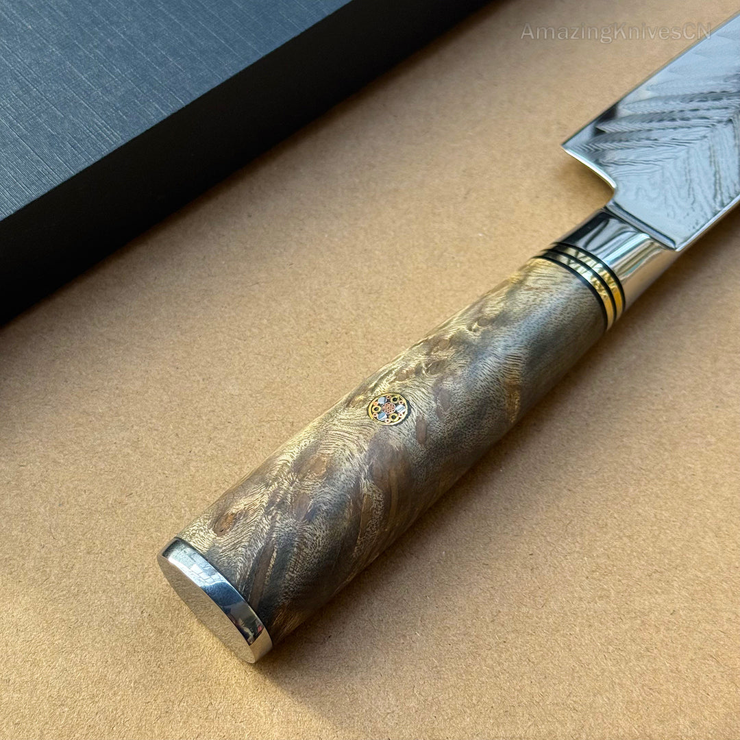 8'' Chef Knife Japanese VG10 Damascus Steel Kitchen Knives Stainless Gyuto with Wood Handle - AK-DC0348