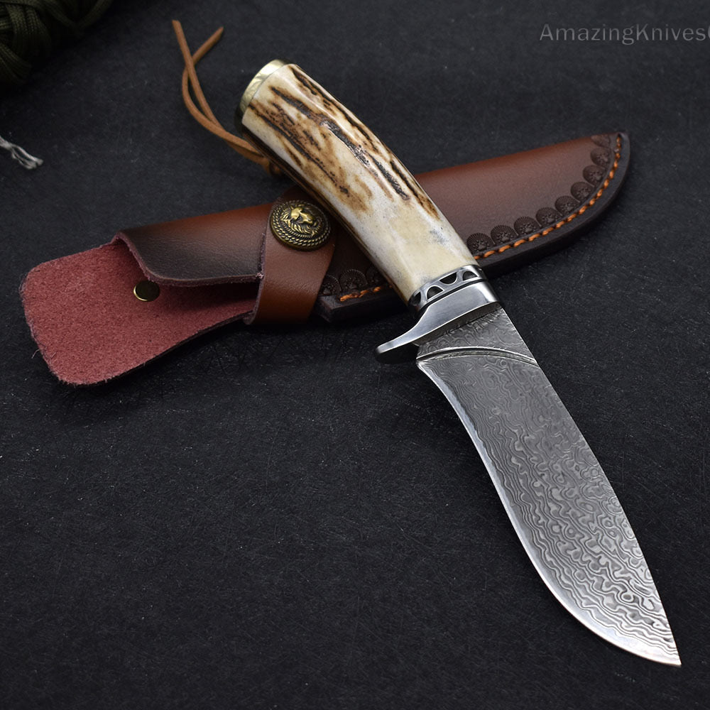 Damascus Survival Outdoor Camping Hunting Knife Fixed Blade Stag Antler w/ Sheath - AK-HT0971