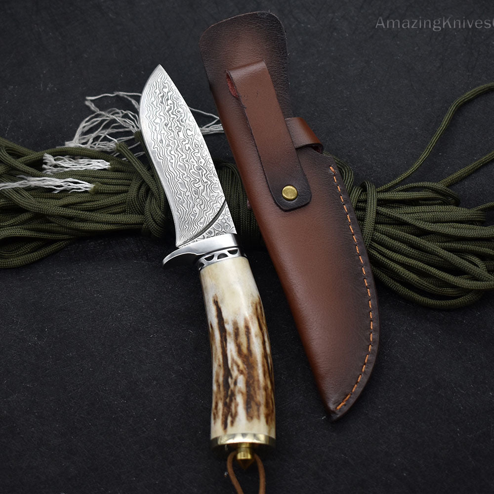 Damascus Survival Outdoor Camping Hunting Knife Fixed Blade Stag Antler w/ Sheath - AK-HT0971