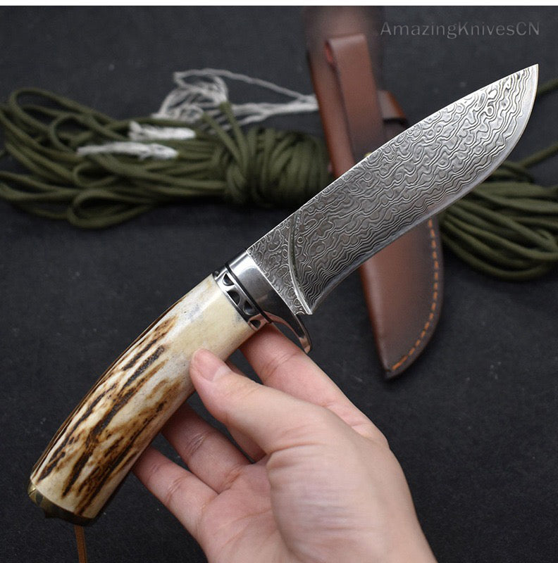 Damascus Survival Outdoor Camping Hunting Knife Fixed Blade Stag Antler w/ Sheath - AK-HT0971