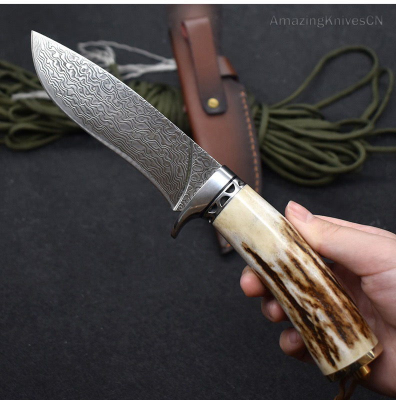 Damascus Survival Outdoor Camping Hunting Knife Fixed Blade Stag Antler w/ Sheath - AK-HT0971