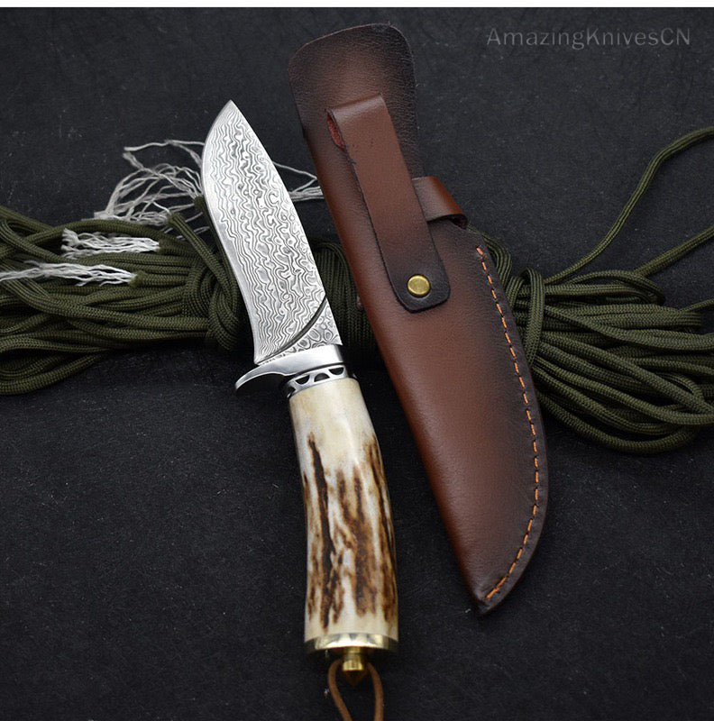 Damascus Survival Outdoor Camping Hunting Knife Fixed Blade Stag Antler w/ Sheath - AK-HT0971