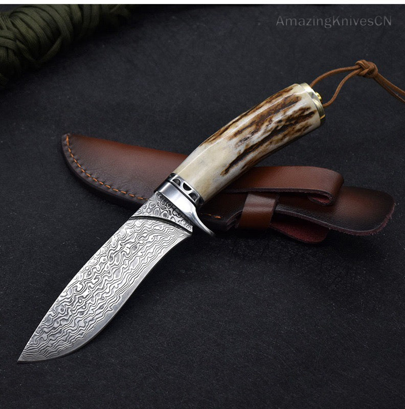 Damascus Survival Outdoor Camping Hunting Knife Fixed Blade Stag Antler w/ Sheath - AK-HT0971