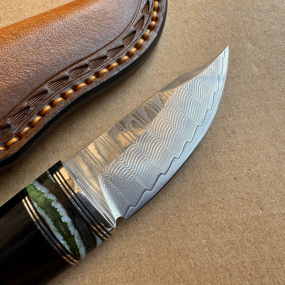 Collectible VG10 Damascus Utility Knife Fixed Blade Ebony Handle w/ Sheath - AK-HT0907