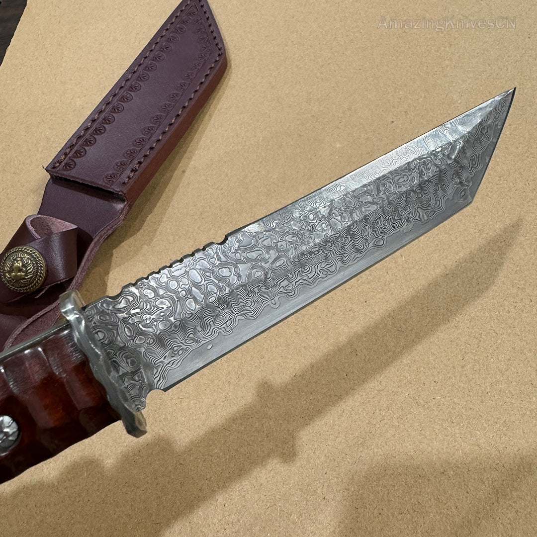 Japanese VG10 Damascus Hunting Knife Katana Knife Samurai Full Tang Sword Tanto - AK-HT0570