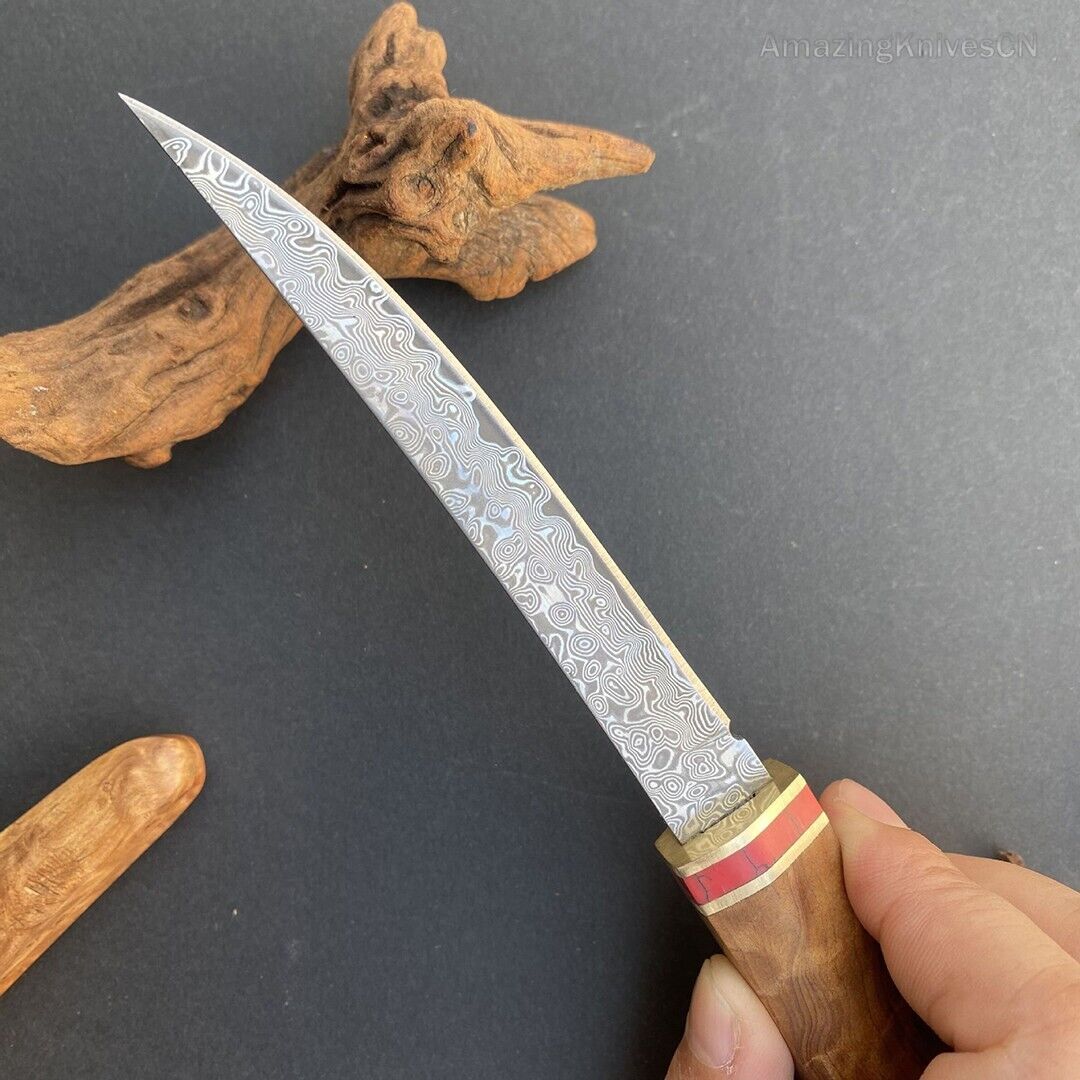 Japanese Style Mini Katana Knife Fixed Blade Damascus Steel Wooden Handle - AK-HT0886-D