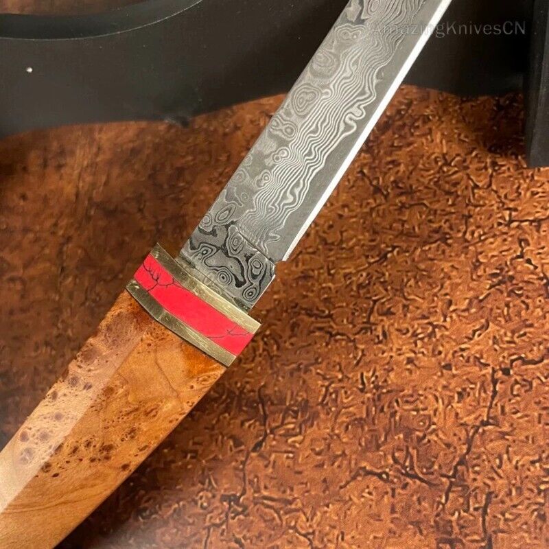 Japanese Style Mini Katana Knife Fixed Blade Damascus Steel Wooden Handle - AK-HT0886-D