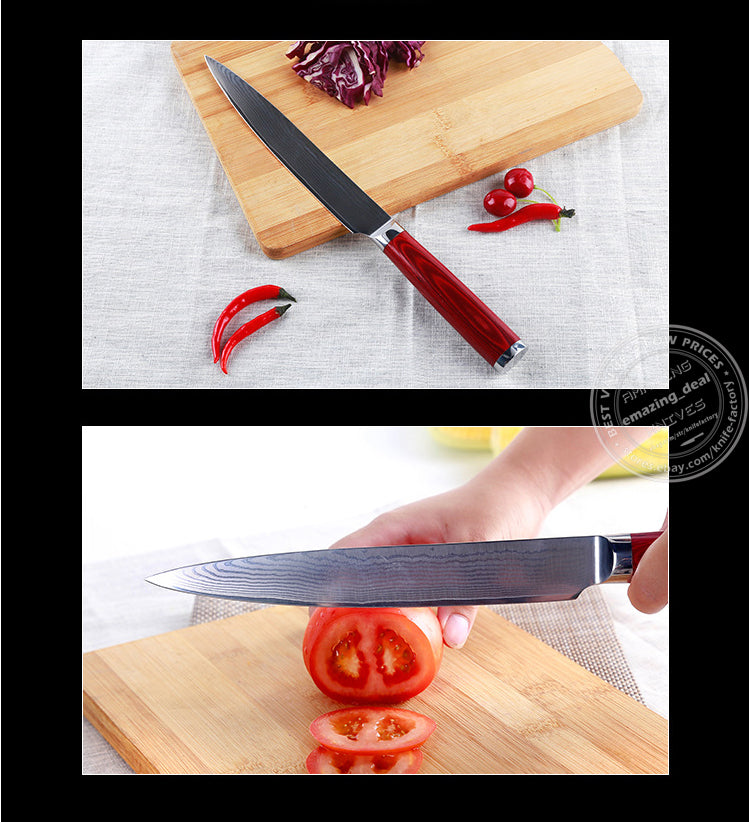 Japanese 67-Layer Damascus Kithcen Knife Set VG10 Steel Amazing Quality