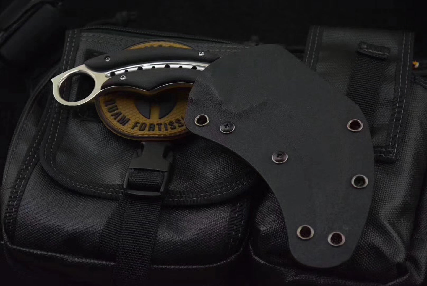 Karambit Fixed Blade Knife Mirror Light Karambits Claw Hunting Knives - AK-HT0774