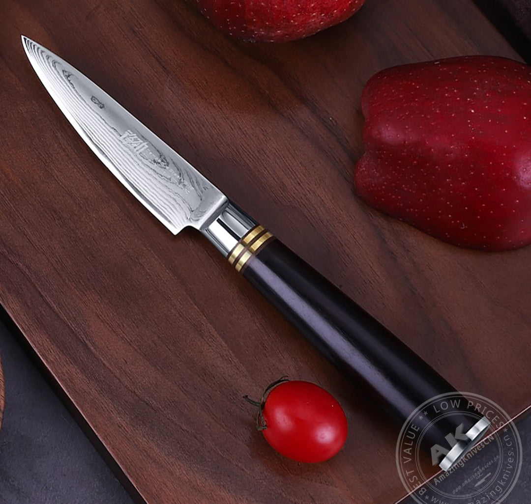 Japanese VG10 67-Layer Damascus Kithcen Knife Set Amazing Quality -AK-DS0593