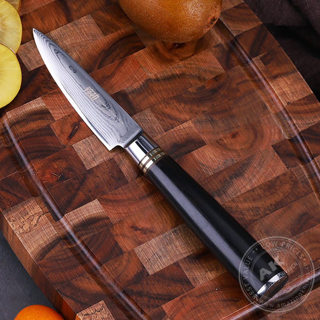 Japanese VG10 67-Layer Damascus Kithcen Knife Set Amazing Quality -AK-DS0593