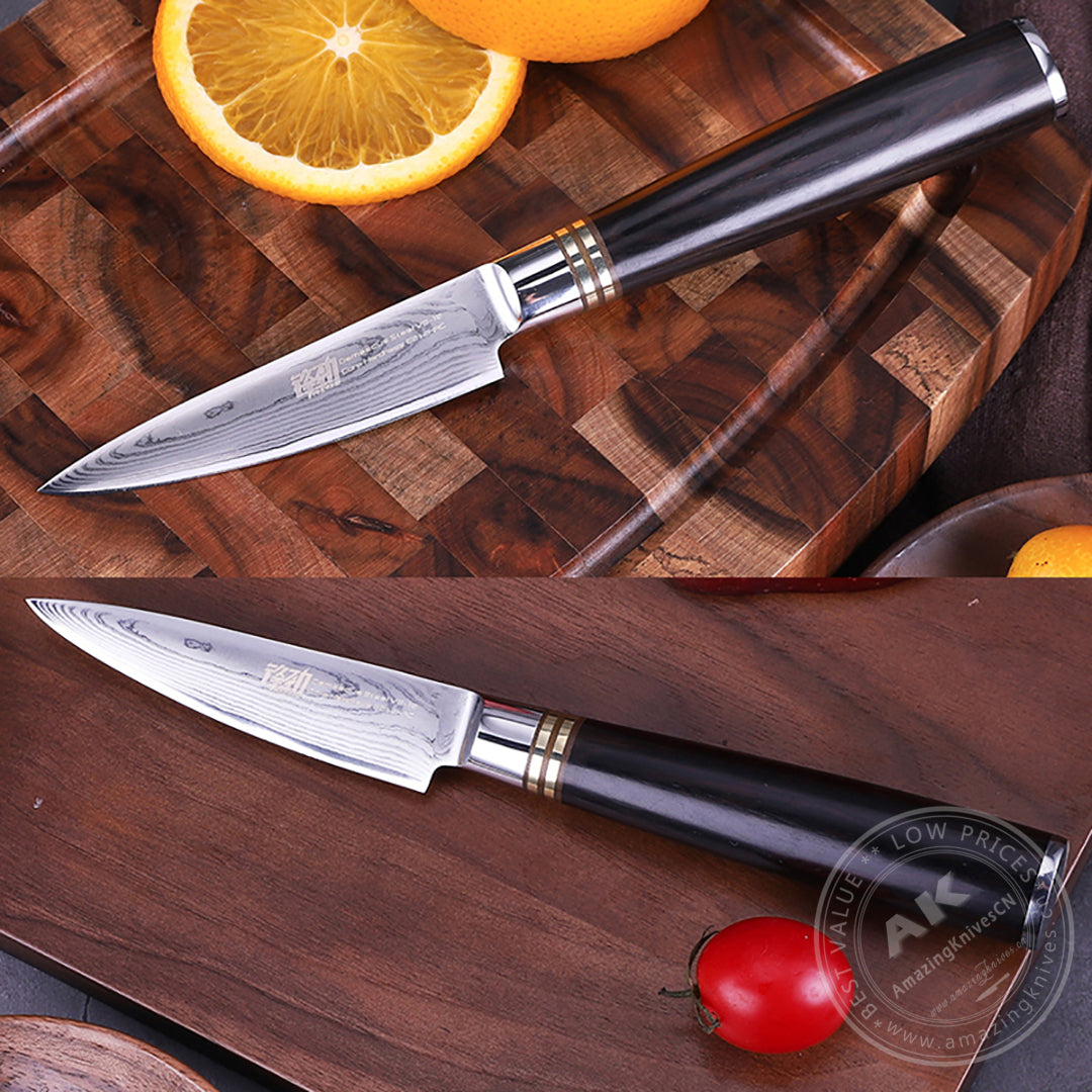 Japanese VG10 67-Layer Damascus Kithcen Knife Set Amazing Quality -AK-DS0593