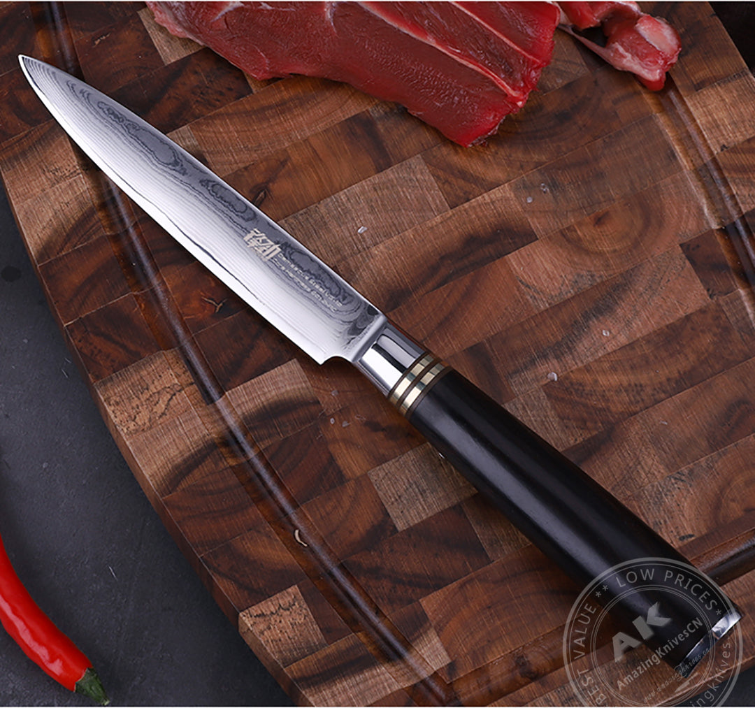 Japanese VG10 67-Layer Damascus Kithcen Knife Set Amazing Quality -AK-DS0593