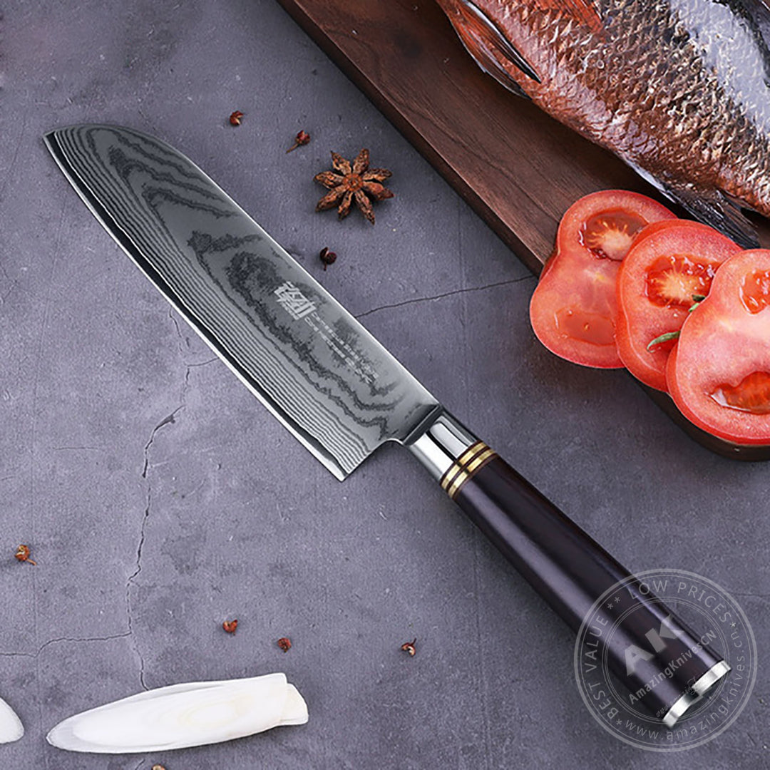 Japanese VG10 67-Layer Damascus Kithcen Knife Set Amazing Quality -AK-DS0593