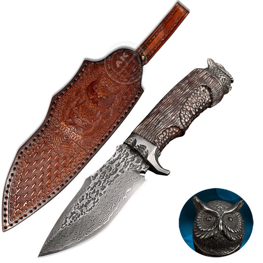 Vg10 Hunting Knife Fixed Blade Damascus Steel Handcrafted Owl Head -AK-HT0810