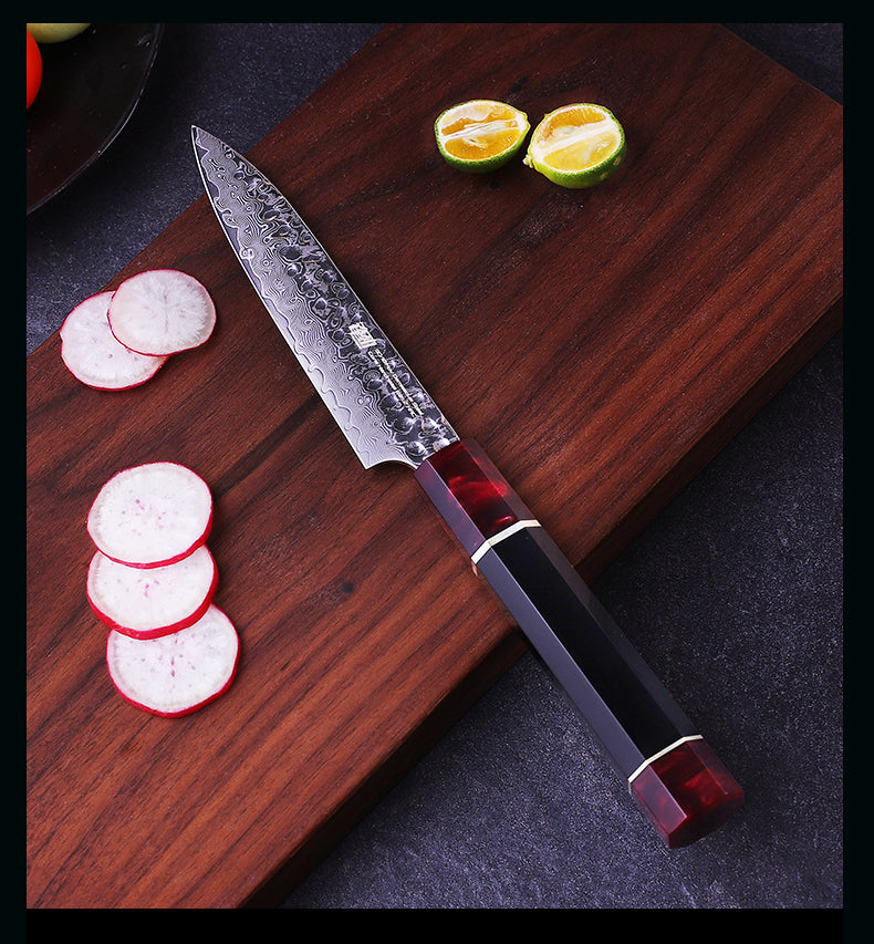 5 PCS Set 67-Layer  Damascus Steel Kithcen Knife Set Amazing Quality -AK-DS0819