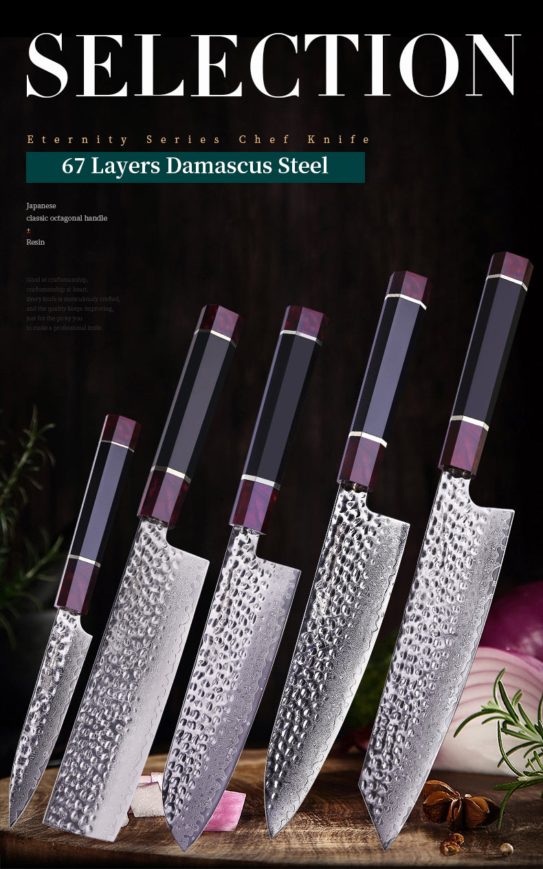 5 PCS Set 67-Layer  Damascus Steel Kithcen Knife Set Amazing Quality -AK-DS0819