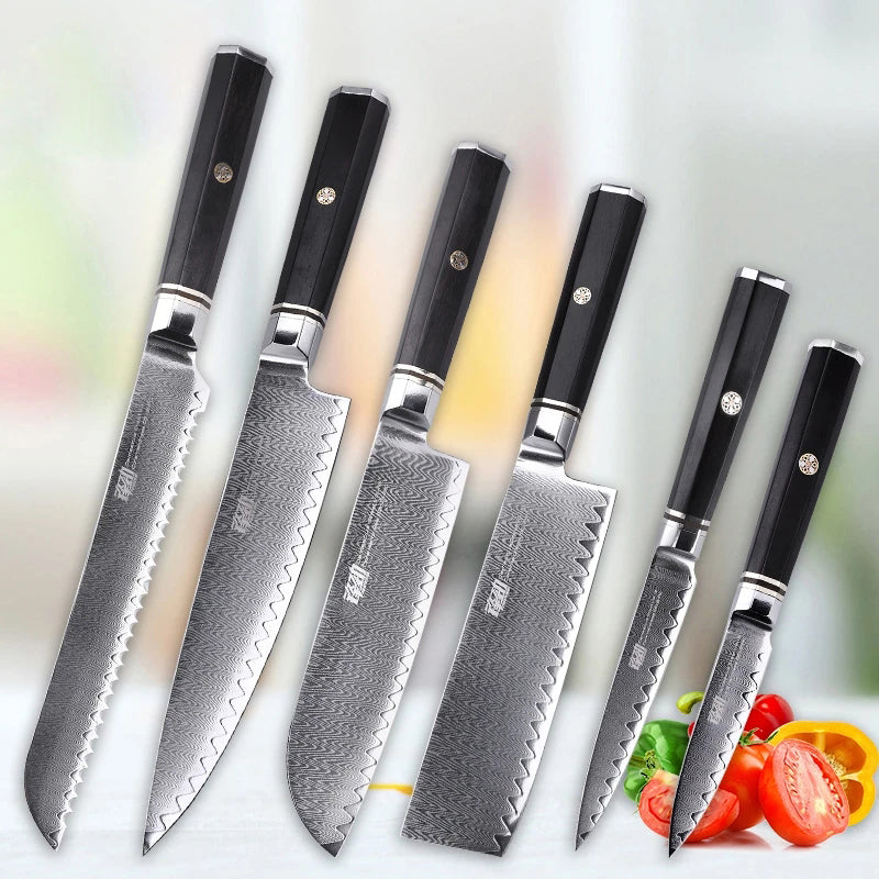 6 PCS Set 67-Layer  Damascus Steel Kithcen Knife Set Amazing Quality -AK-DS0818