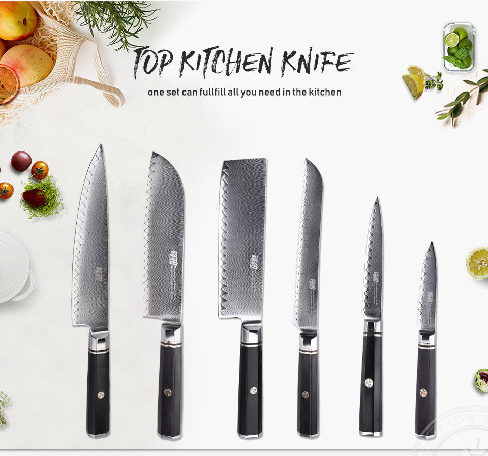 6 PCS Set 67-Layer  Damascus Steel Kithcen Knife Set Amazing Quality -AK-DS0818