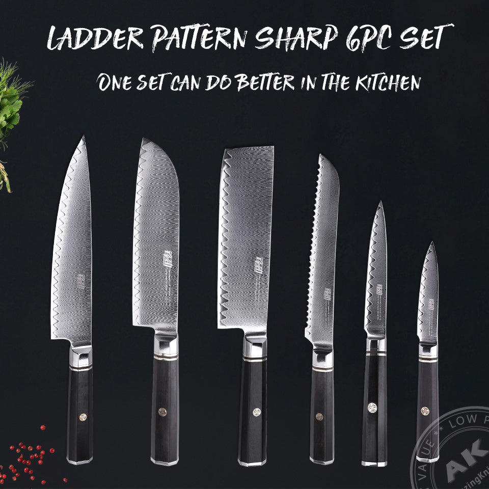 6 PCS Set 67-Layer  Damascus Steel Kithcen Knife Set Amazing Quality -AK-DS0818