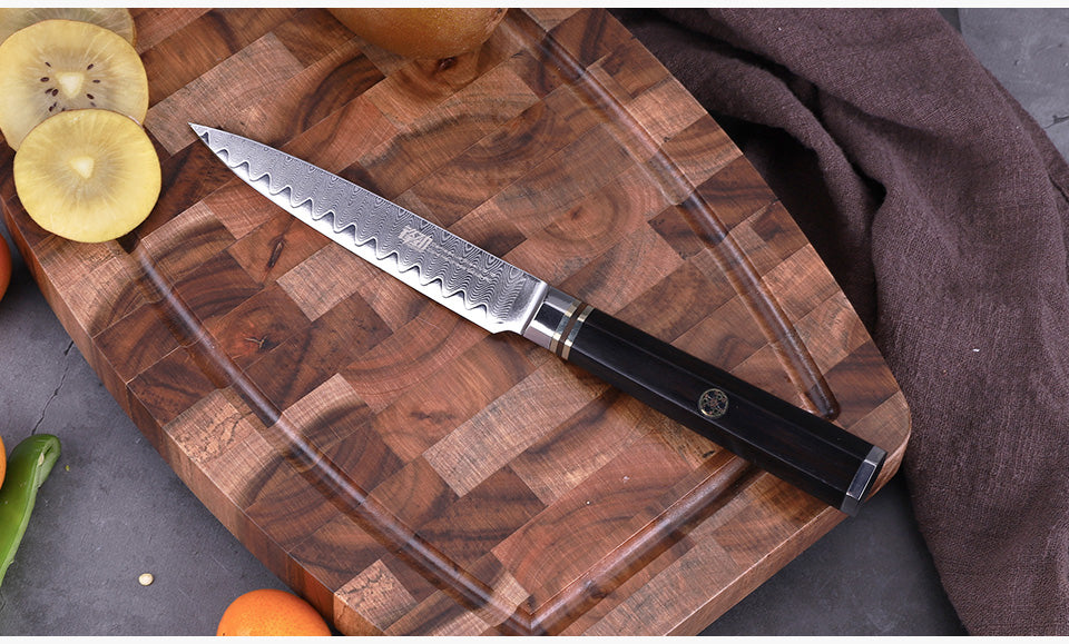 6 PCS Set 67-Layer  Damascus Steel Kithcen Knife Set Amazing Quality -AK-DS0818