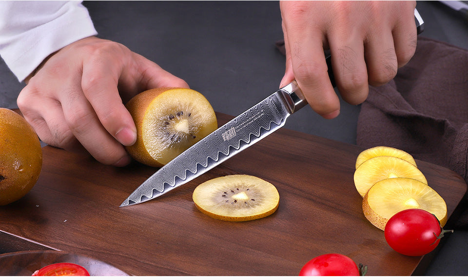 6 PCS Set 67-Layer  Damascus Steel Kithcen Knife Set Amazing Quality -AK-DS0818