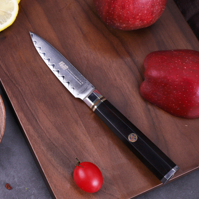 6 PCS Set 67-Layer  Damascus Steel Kithcen Knife Set Amazing Quality -AK-DS0818