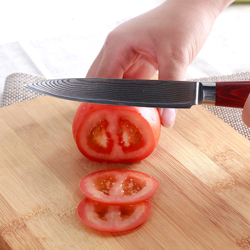 Japanese 67-Layer Damascus Kithcen Knife Set VG10 Steel Amazing Quality