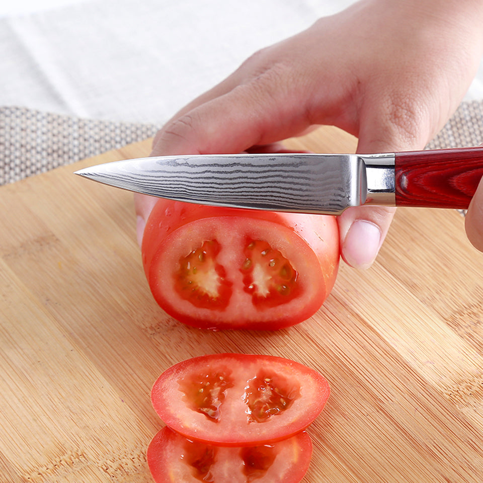 Japanese 67-Layer Damascus Kithcen Knife Set VG10 Steel Amazing Quality