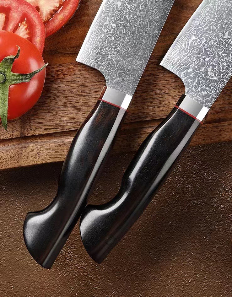 Japanese VG10 Damascus Steel Chef Knife Kitchen Knife - AK-DC0605