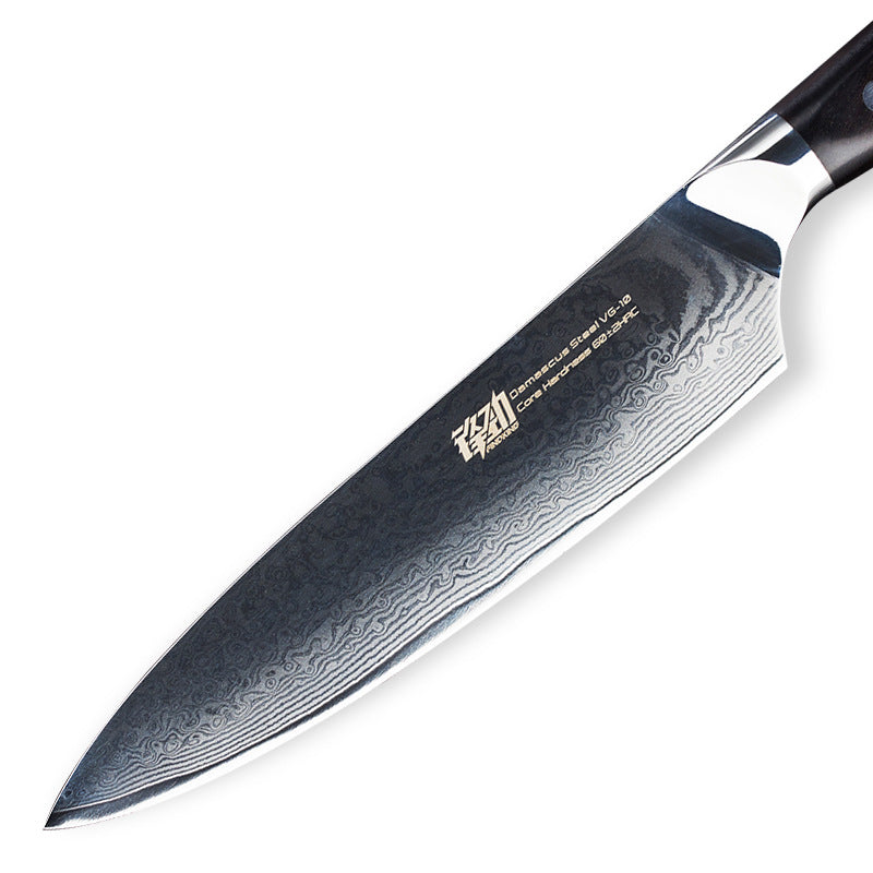 8'' Chef Knife Japanese VG10 Damascus Steel Kitchen Knives Stainless Gyuto - AK-DC0196