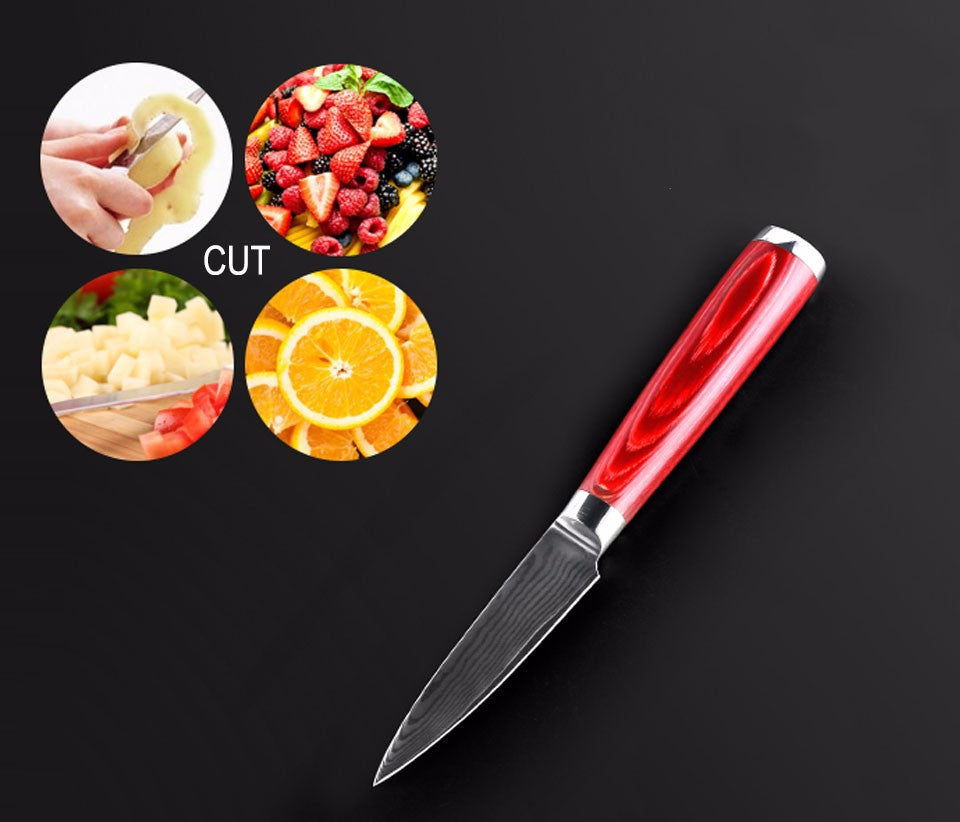 3.5'' Japanese Damascus Steel Kitchen Knives Paring Knife Wood Handle - AK-DP121