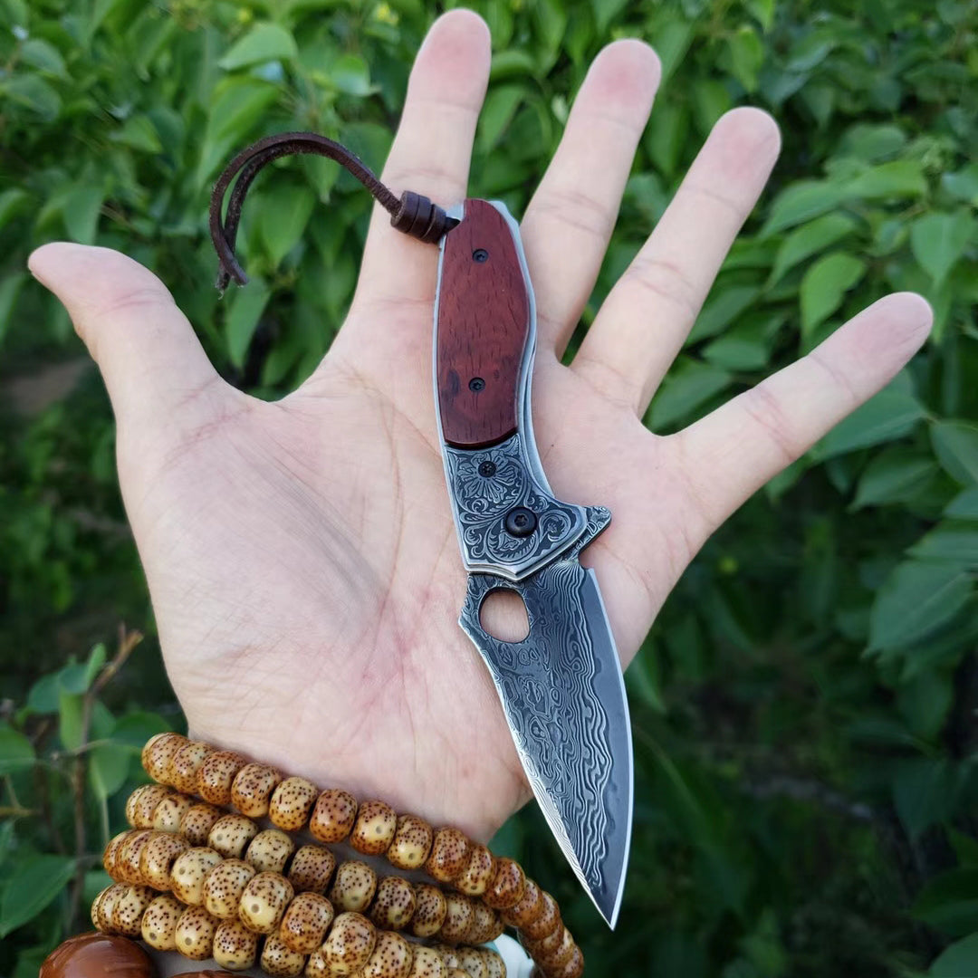 VG10 Damascus Hunting Knife Black Folding Knife Camping Rescue Bone/Wood Handle- AK-HT0511