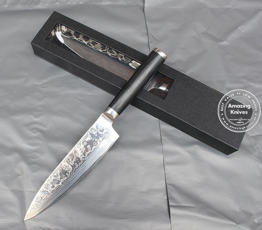 8 inch Chef Knife Japanese VG10 Damascus Steel Kitchen Knives High Quality Gyuto - AK-DC0039