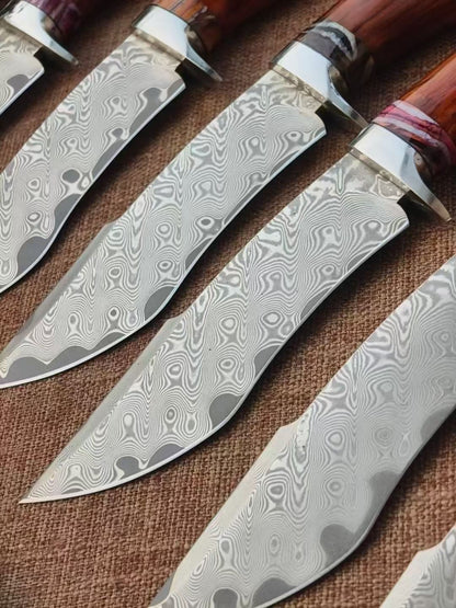 Handmade VG10 Damascus Hunting Knife Fixed Blade Rescue Survival Gear Tactical Bowie - AK-HT0516-B