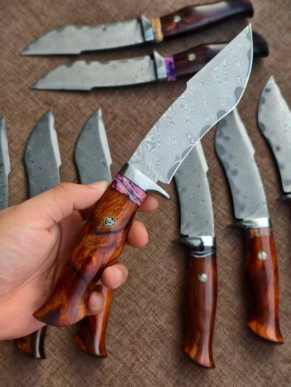 Handmade VG10 Damascus Hunting Knife Fixed Blade Rescue Survival Gear Tactical Bowie - AK-HT0516-B
