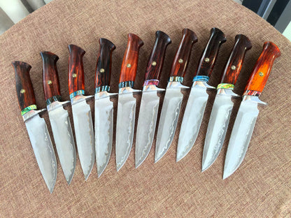 Rare Handforged Damascus Steel Rosewood Straight Hunting Outdoor Knife with Sheath- AK-HT0652