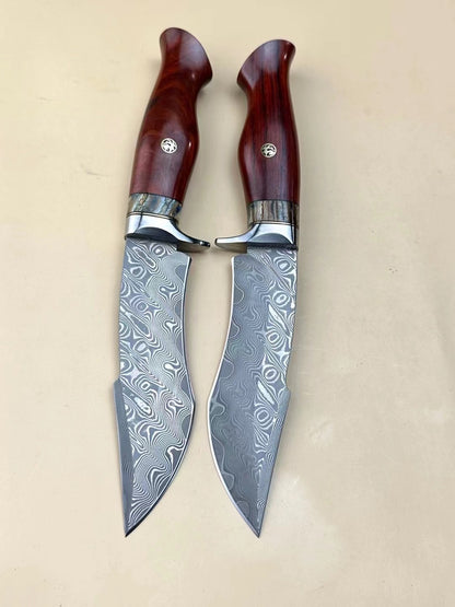 Handmade VG10 Damascus Hunting Knife Fixed Blade Rescue Survival Gear Tactical Bowie - AK-HT0516-B