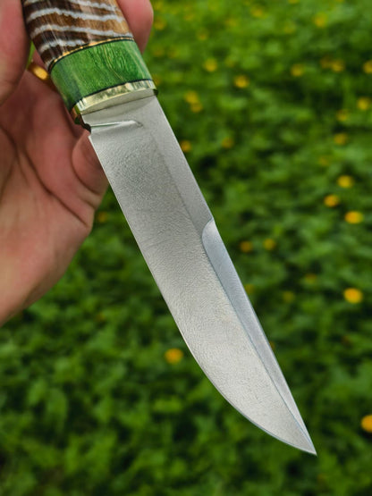 Wootz Steel Knife – Polished Blade, Mammoth Molar Fossil & Stabilized Green Maple Burl Handle - AK-HT1052