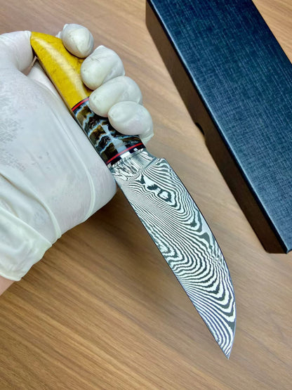 Handmade Damascus Steak Knife – Mammoth Molar Fossil Handle - AK-DC1068