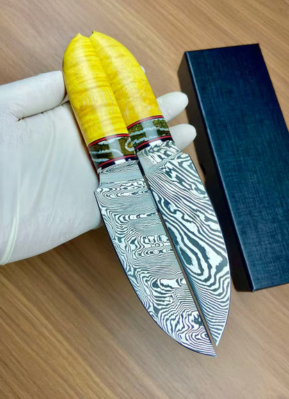Handmade Damascus Steak Knife – Mammoth Molar Fossil Handle - AK-DC1068
